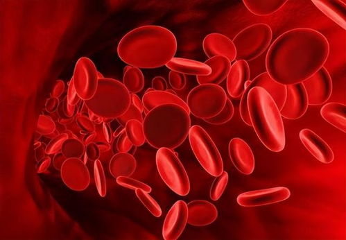 ��������ҽԺ��Ѫ�� ɽ�������ĸ�ҽԺ���ڿ����