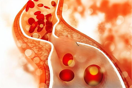 心脏骤停的时候用药心脏骤停 用药 心脏骤停的时候用药心脏骤停 用药