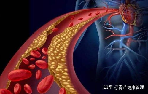 ����������������ô��