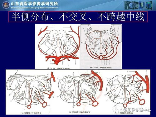 刘连舸被决定逮捕_刘连舸简介 刘连舸被决定逮捕_刘连舸简介