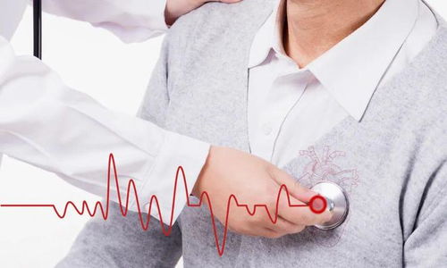 陶红乐嘉前妻个人资料 陶红乐嘉前妻个人资料