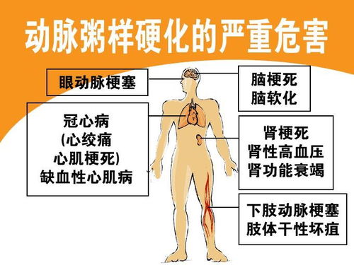 葡萄牙vs北爱尔兰 葡萄牙vs北爱尔兰直播 葡萄牙vs北爱尔兰 葡萄牙vs北爱尔兰直播