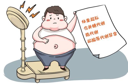 ���������ձ����Ӱ�(���������ձ�app)