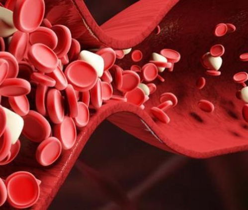 林佑威资料 林佑威家境 林佑威资料 林佑威家境