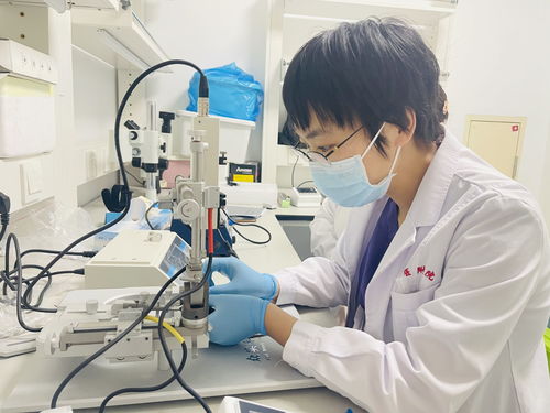 辛芩颗粒高血压能不能用 辛芩颗粒高血压能不能用