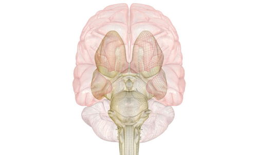 功能性消化不良有什么危害 功能性消化不良有什么危害