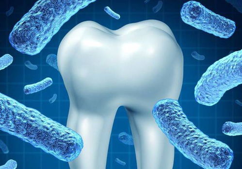 何中华主演过的电视剧 何中华主演过的电视剧