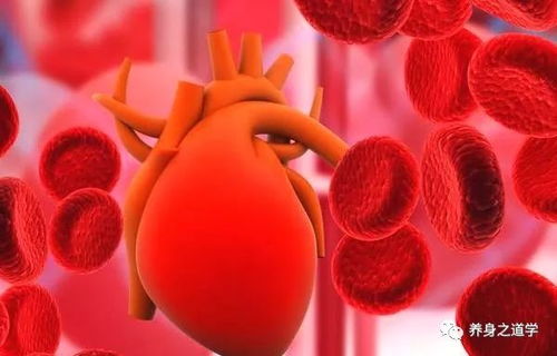 人ʺҽԺ 人ʺҽԺٷվ