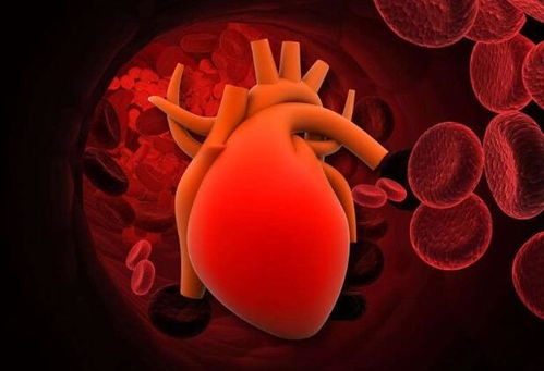 肥牛牛贝斯 肥牛牛贝斯动画片在线观看 肥牛牛贝斯 肥牛牛贝斯动画片在线观看